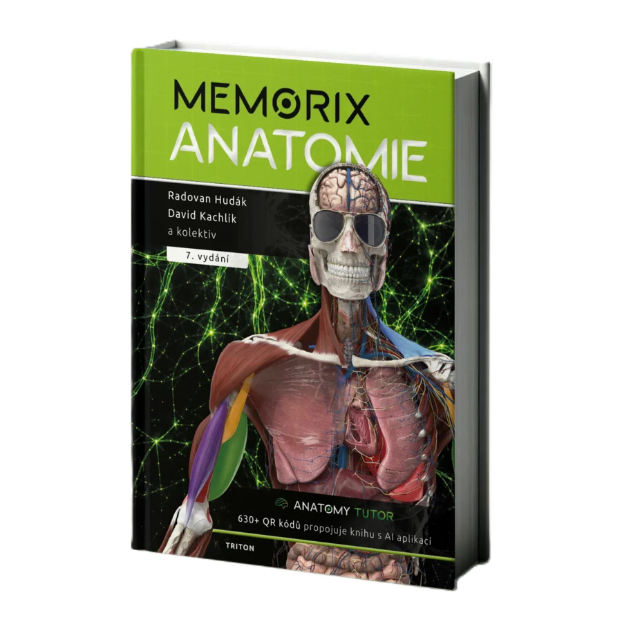 Memorix anatomie, 7. vydání